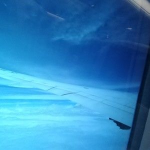 Meet your Posher, George